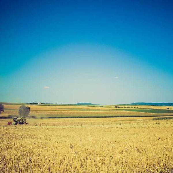 Made Remember Win Bit